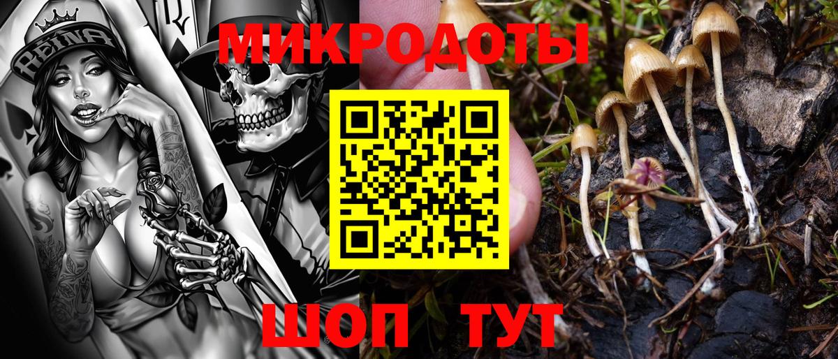 Норильск  Галлюциногенные грибы мухоморы  Вход с VPN 